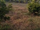 Mannar Land for Sale