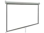 Manual Projection Screen 96" X 96"(New)