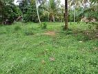Marawila : One Acre Coconut Land for Sale