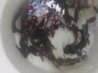 marble catfish