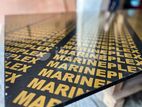 Marineplex Film Faced Plywood 12MM