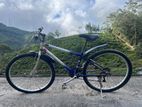 Mountain Bicycle