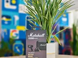 Marshall Motif II ANC Wireless Earbuds