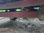 Massey Ferguson 135 1967