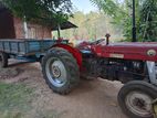 Massey Ferguson 135 1979