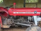 Massey Ferguson 135 1979