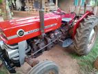 Massey Ferguson 135 1999