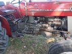 Massey Ferguson 135 2021