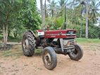 Massey Ferguson 135 D 1969