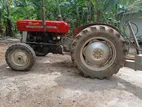 Massey Ferguson 135 D 1971