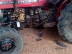 Massey Ferguson 135 Dl 1989