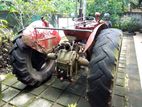 Massey Ferguson 135 1966