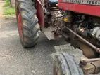 Massey Ferguson 135 messy 1998