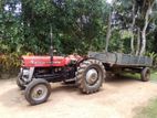 Massey Ferguson MF135 1965