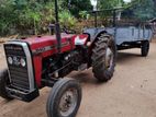 Massey Ferguson 240 Massy farguson 1981