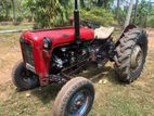 Massey Ferguson IMT 533 1978