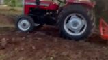 Massey Ferguson MF 240 1996
