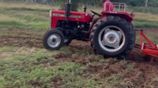 Massey Ferguson MF 240 1996