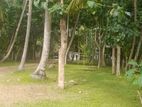 Massive 252 Perch Commercial Residential Land Katana