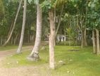 Massive 252 Perch Residential Land Katana