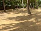 Massive Commercial Land for Sale in Negombo