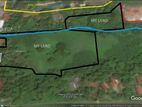 Massive Land for Sale in Boossa