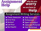 Master Level Assignment Assistance