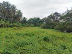 Matale District Galewela Beliyakanda 215 Perches of Scenic Land for Sale