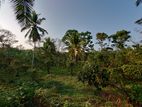 Land for Sale Akurugoda