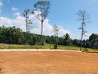 Matara කැකනදුරින් පදිංචියට සුදුසු බිම්කොටසක් විකිණීමට