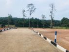 Matara කැකරදුරින් බිම්කොටසක් විකිණීමට