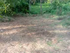 Matara - Kekanadura Land for Sale (SSPL-209)