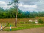 Matara Kekanadura Land Sale