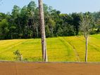 Matara Kekanadura Land Sale