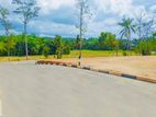 Matara Kekanadura නගරයට නුදුරින් ඉඩමක් විකිණීමට