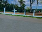 Matara Kekanadura සුන්දර වෙල්යායකට මුහුණලා වටිනා ඉඩමක්