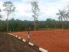 Matara Land Sale