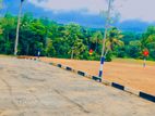 Matara land sale