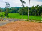 Matara New land