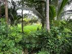 Mathara : 53 Perches Land for Sale in Kekanadura