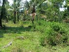 Mathara : 62 perch Hotel land for Sale at Mirissa