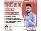 Mathematics Grade 11 Theory Sinhala