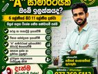 Mathematics Individual Classes 6-11