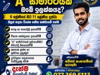 Mathematics Individual Paper Classes - OL