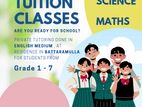 Maths and Science Tuition