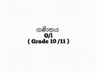 Maths Class ( Grade 10 / 11 )