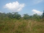 Maththala : 8 Acers Highly Commercial Land for Sale facing Airport Road