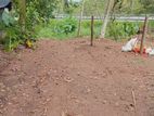 Mattegoda Land for Sale (SSPL-167)