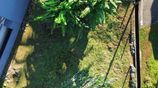 Mattegoda Land for Sale