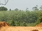 Mawak Oya Facing Land for Sale - Padukka